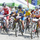 Bike3StartU13 __jpg-1342040386