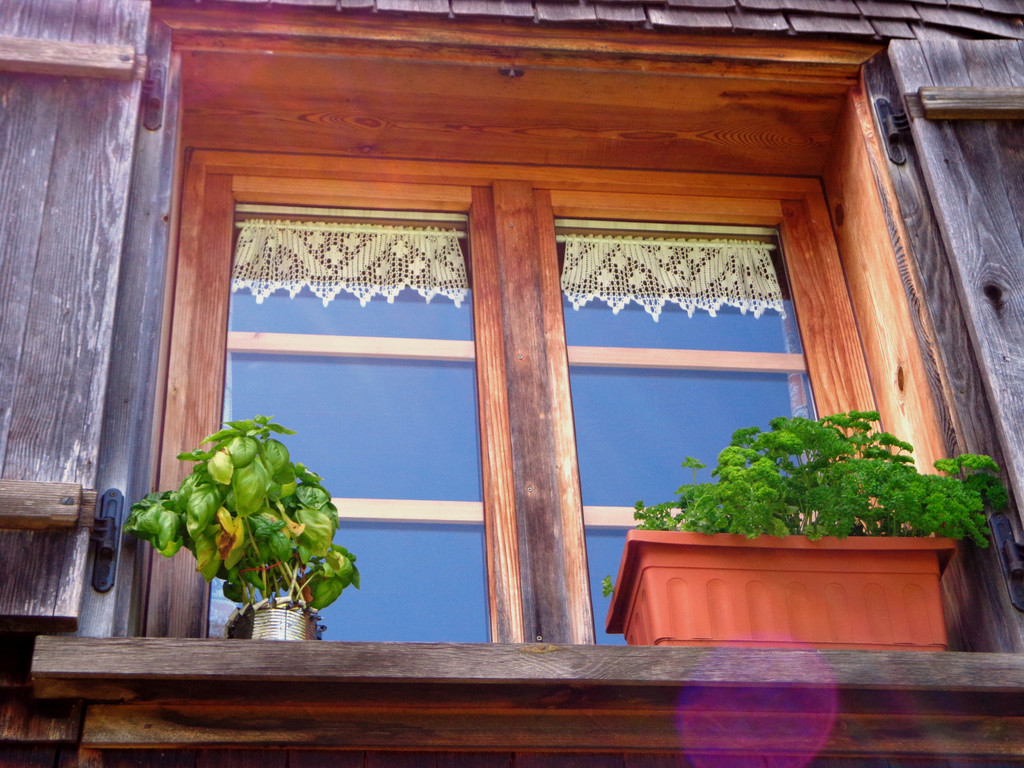 Alpe Buchen 8_7_2012 071.JPG