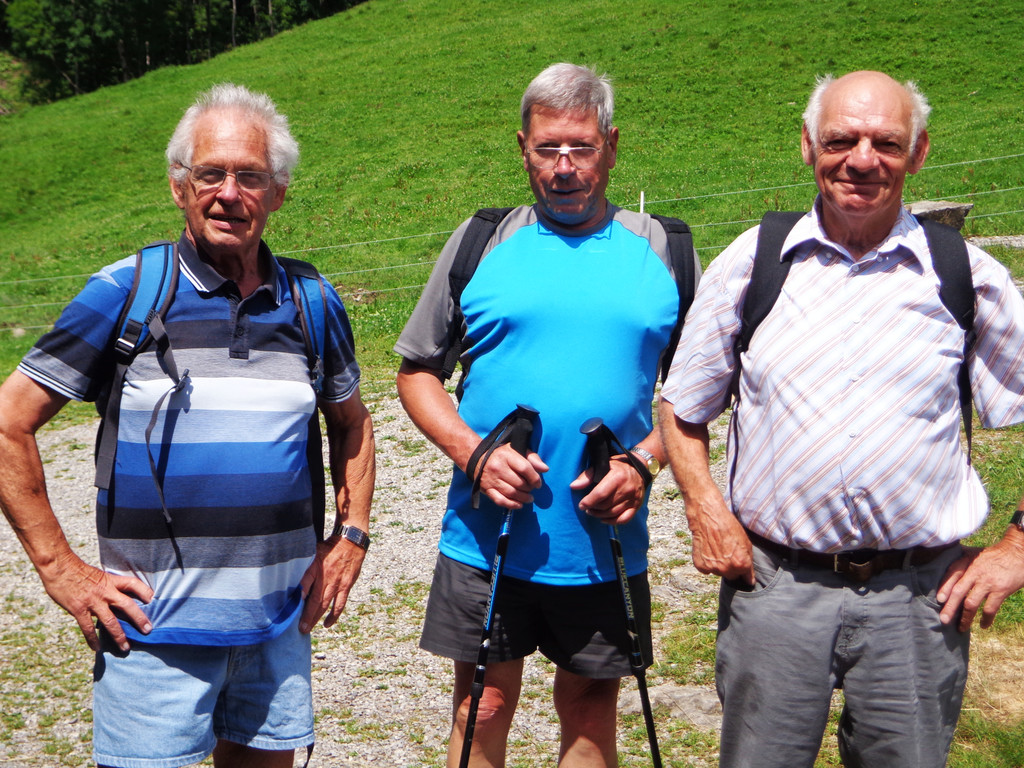 Alpe Buchen 8_7_2012 030.JPG