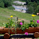 Alpe Buchen 8_7_2012 062.JPG