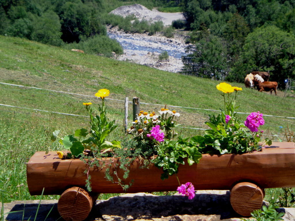Alpe Buchen 8_7_2012 062.JPG