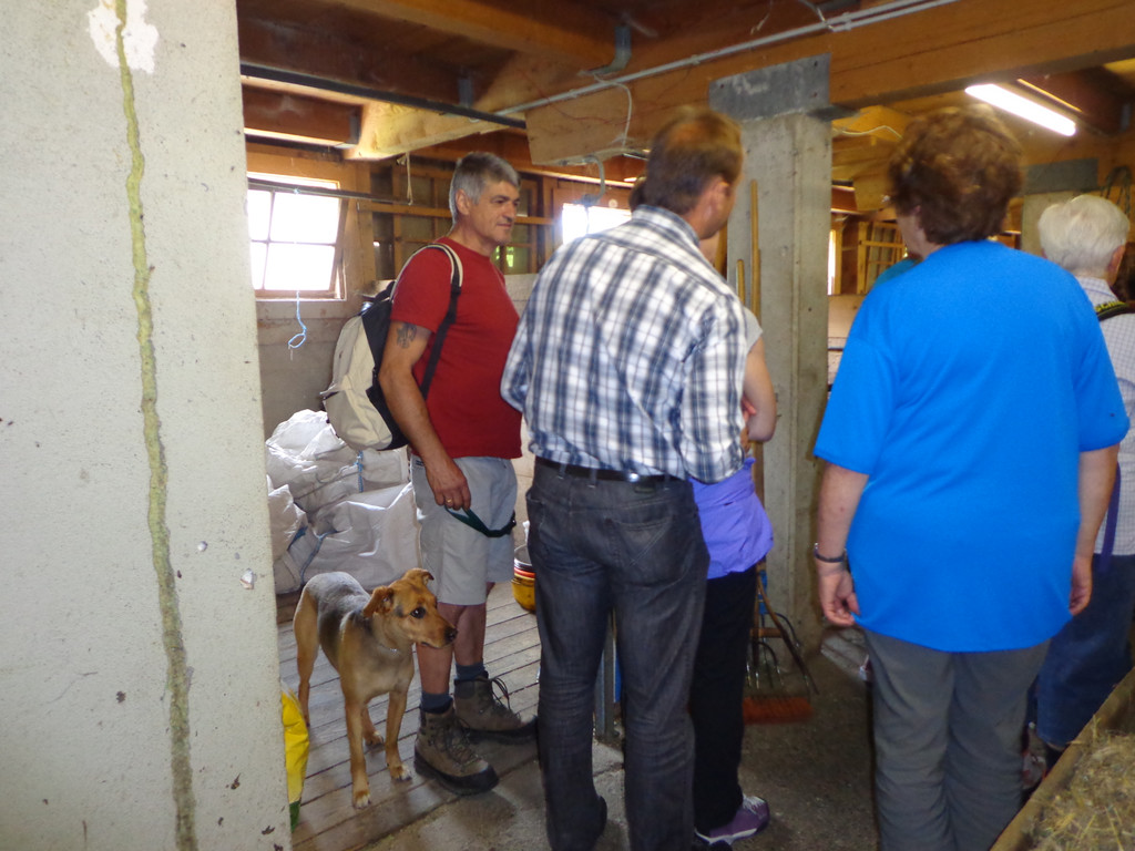 Alpe Buchen 8_7_2012 082.JPG