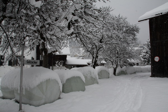 Winterimpressionen 010 241.jpg