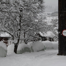 Winterimpressionen 010 244.jpg