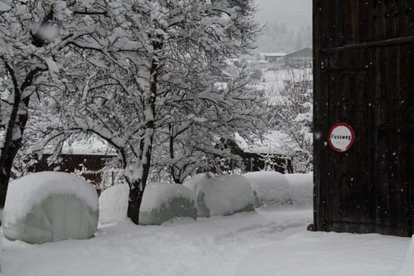 Winterimpressionen 010 244.jpg