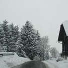 Winterimpressionen 010 260.jpg