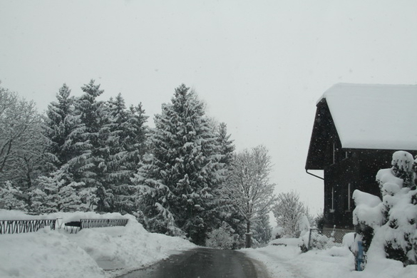 Winterimpressionen 010 260.jpg