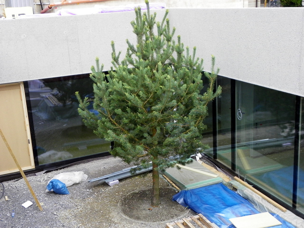 114_8045_JPG-1342052225