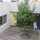 114_8049_JPG-1342052231