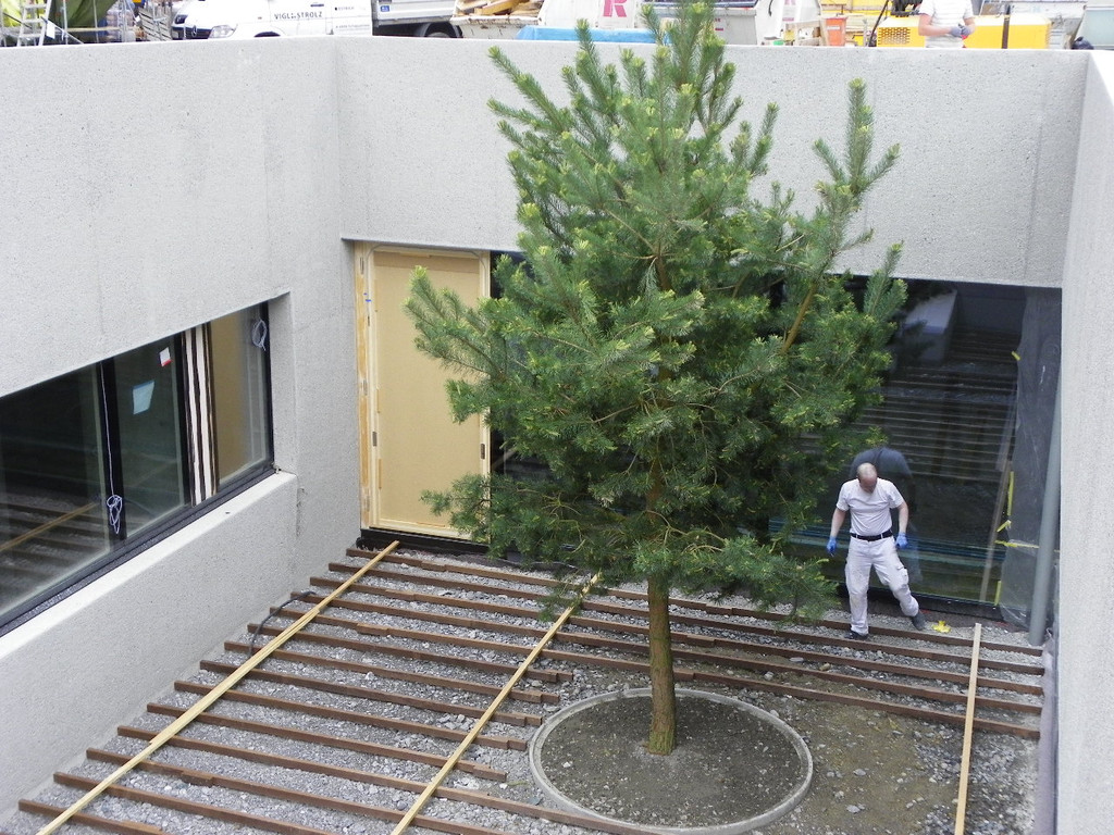 114_8049_JPG-1342052231