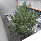 114_8058_JPG-1342052243