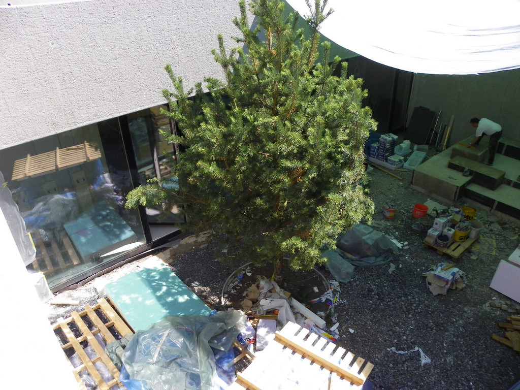 115_0188_JPG-1342052266