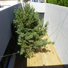 115_0201_JPG-1342052284