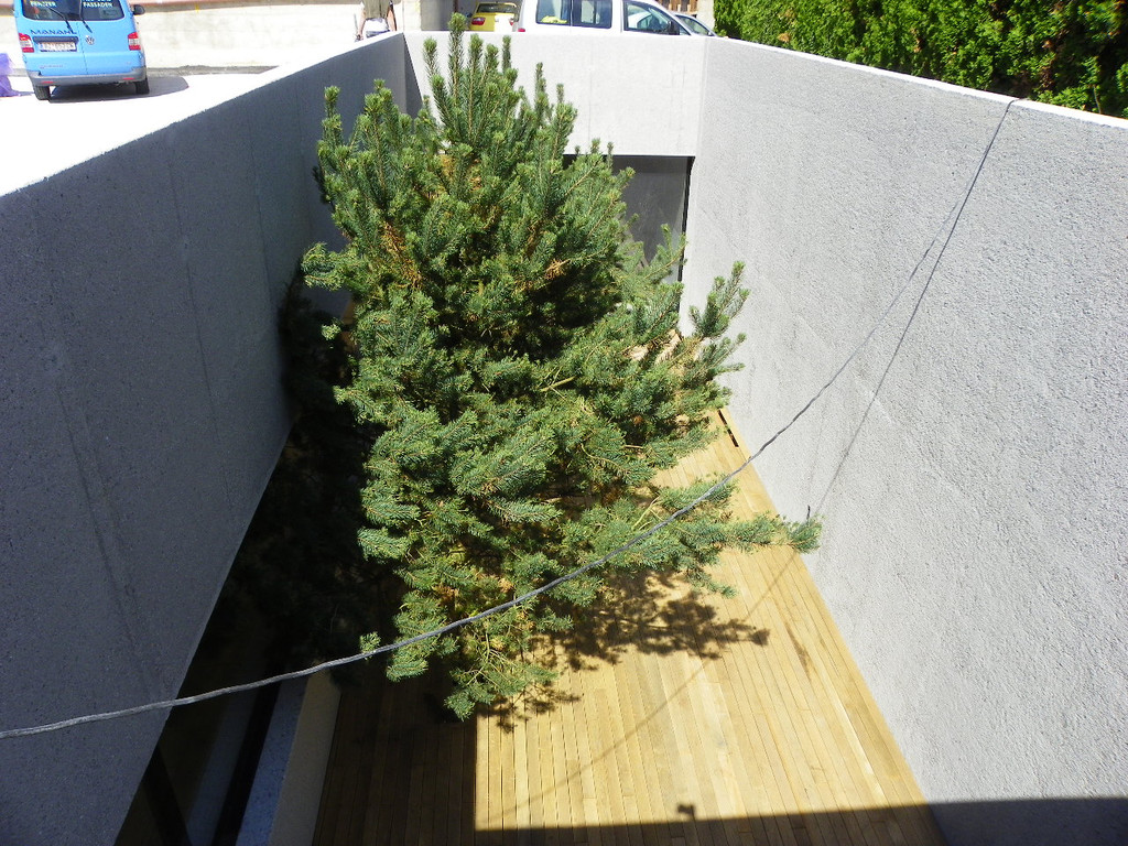 115_0201_JPG-1342052284