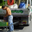 115_3574_JPG-1342052987