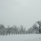 Winterimpressionen 010 287.jpg