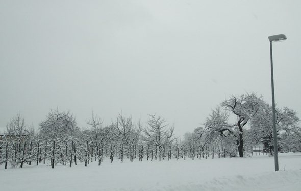 Winterimpressionen 010 287.jpg