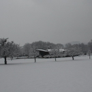 Winterimpressionen 010 290.jpg