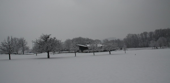 Winterimpressionen 010 290.jpg