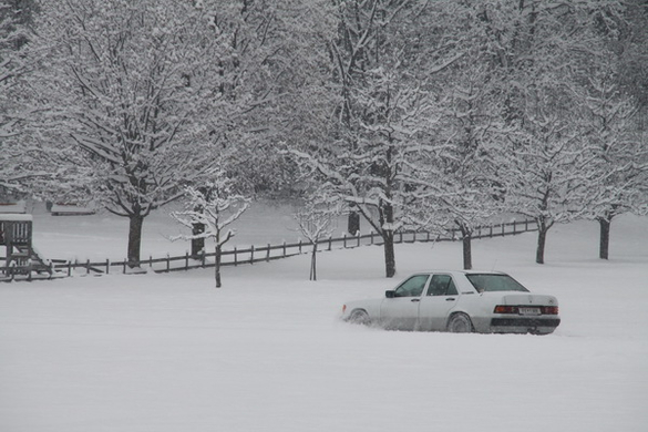 Winterimpressionen 010 294.jpg