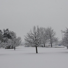 Winterimpressionen 010 300.jpg