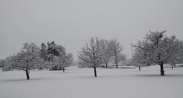 Winterimpressionen 010 300.jpg