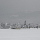 Winterimpressionen 010 304.jpg