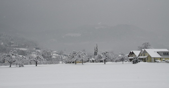 Winterimpressionen 010 304.jpg