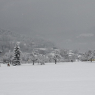 Winterimpressionen 010 310.jpg