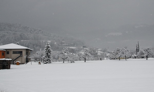 Winterimpressionen 010 310.jpg