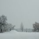 Winterimpressionen 010 320.jpg
