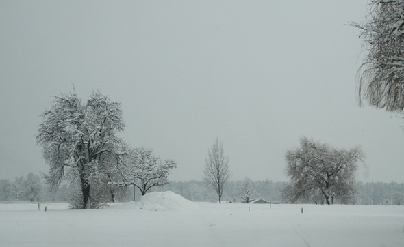 Winterimpressionen 010 320.jpg