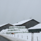 Winterimpressionen 010 325.jpg