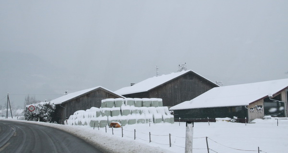 Winterimpressionen 010 325.jpg