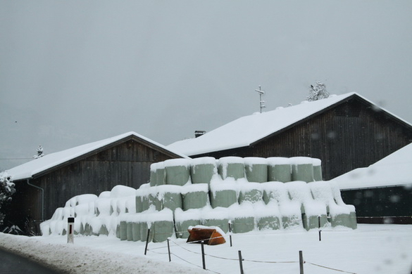 Winterimpressionen 010 328.jpg