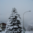 CIMG3124schnee1.JPG