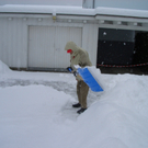 CIMG3129schnee3.JPG