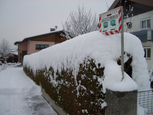 CIMG3136schnee7.JPG