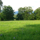 Ansicht 8_JPG-1342108739