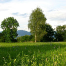 Ansicht 10_JPG-1342108750