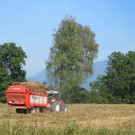 Streuernte 16-09-03 1_JPG-1342108813