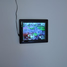 galerie1b_jpg-1342128043