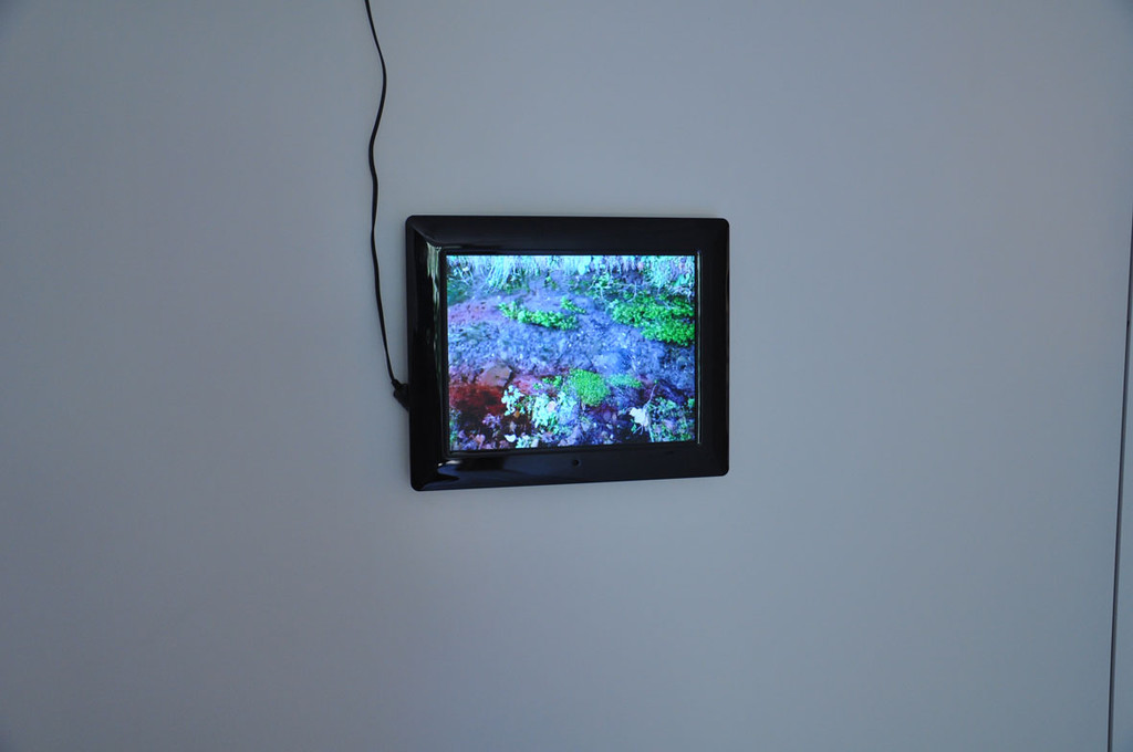 galerie1b_jpg-1342128043