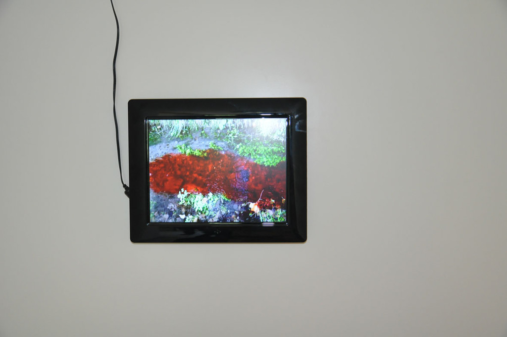 galerie2_jpg-1342128046