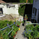 115_0163_JPG-1342136724