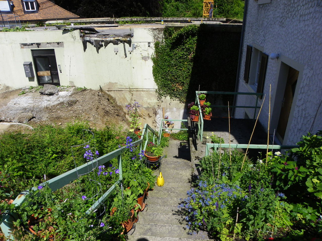 115_0163_JPG-1342136724