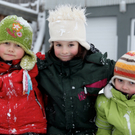 koe-Winter20100128- 2.jpg
