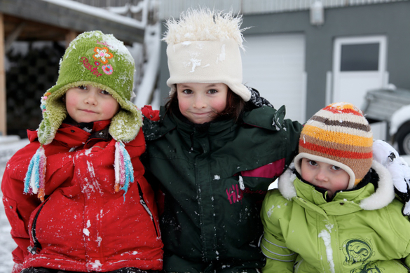 koe-Winter20100128- 2.jpg