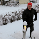 koe-Winter20100128- 8.jpg
