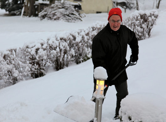 koe-Winter20100128- 8.jpg